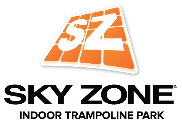 Image result for sky zone logo